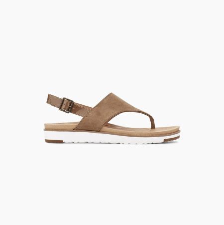 UGG Alessia Suede coffee Sandals for Women (XSDY12943)